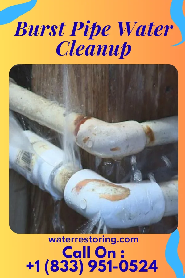 Burst Pipe Water Cleanup in Troy, NY