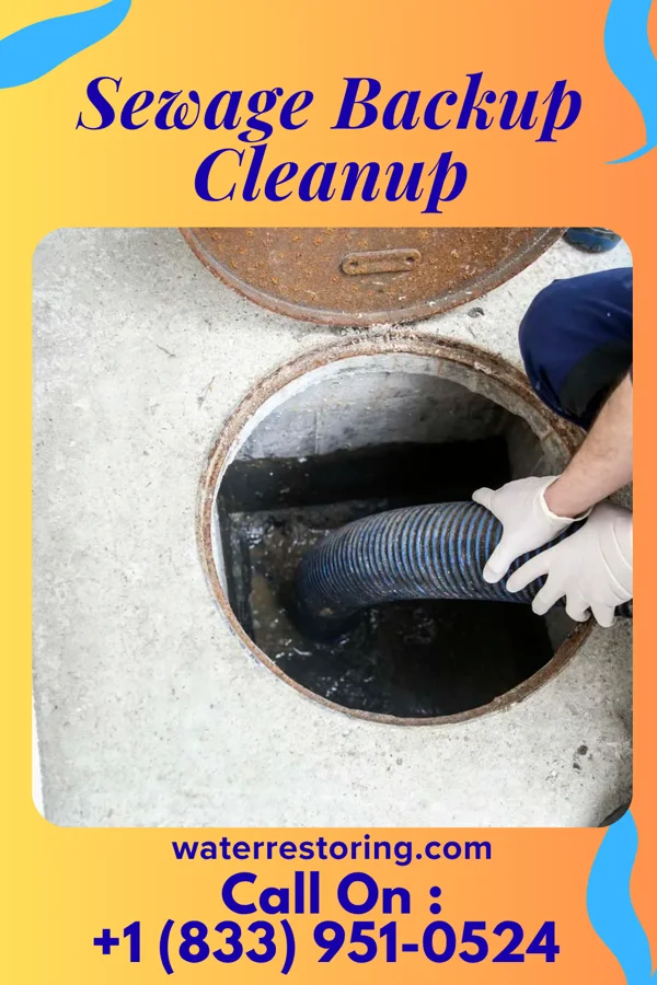 Sewage Backup Cleanup in Troy, NY