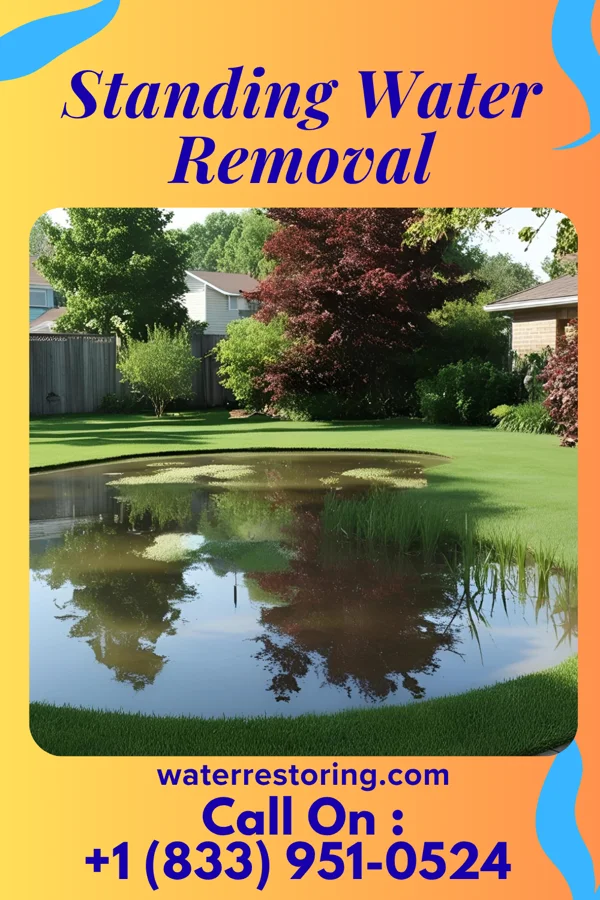 Standing Water Removal in Troy, NY